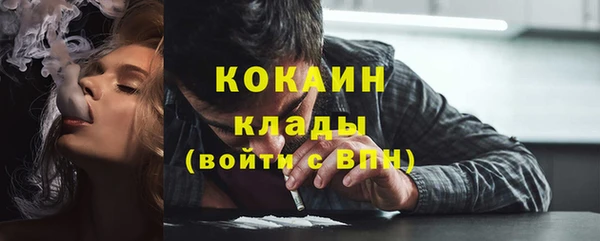 дмт Богородск