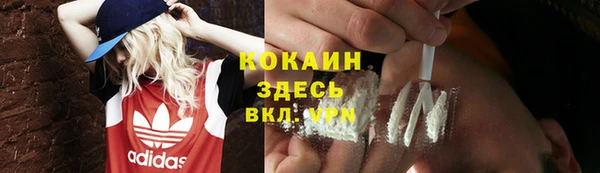 таблы Богородицк