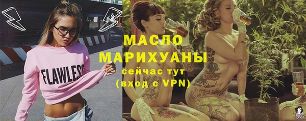 дмт Богородск