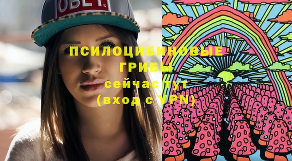 дмт Богородск